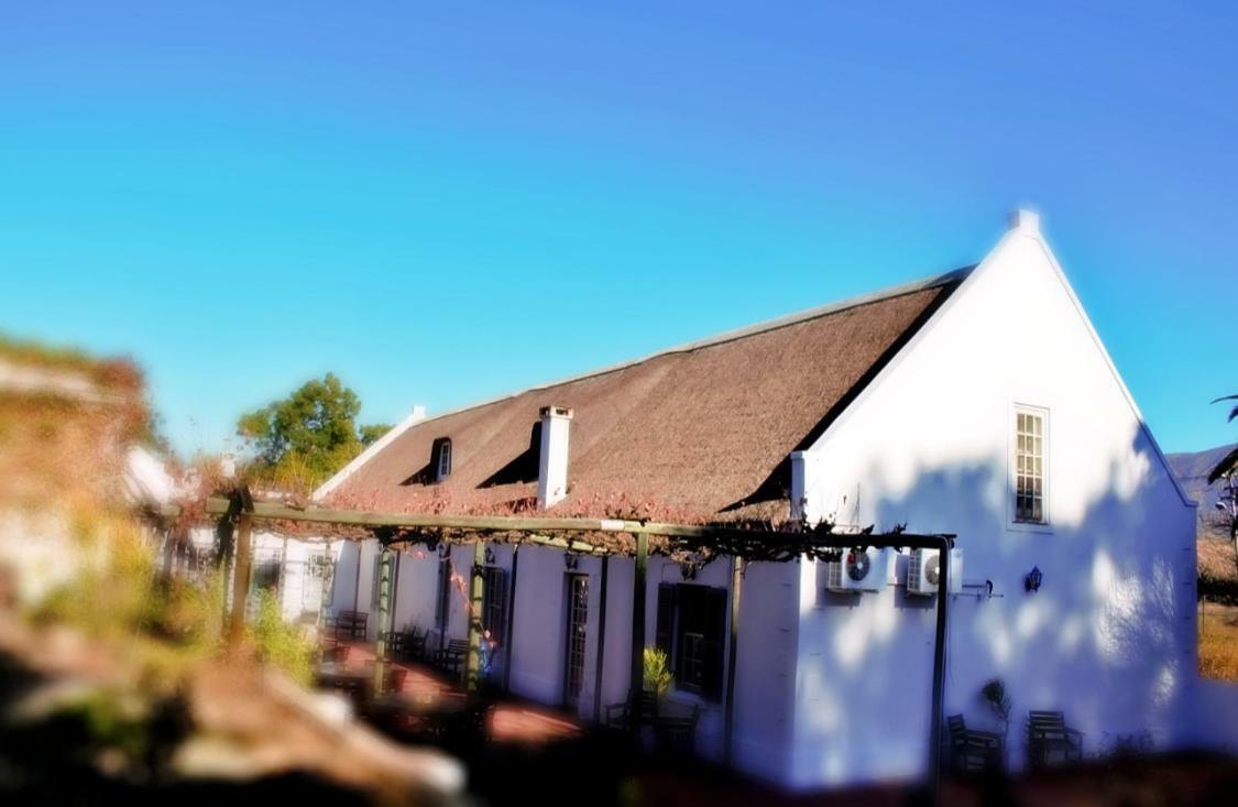 Port Wine Guest House Calitzdorp Exterior foto